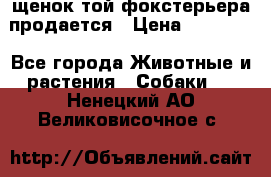 щенок той-фокстерьера продается › Цена ­ 25 000 - Все города Животные и растения » Собаки   . Ненецкий АО,Великовисочное с.